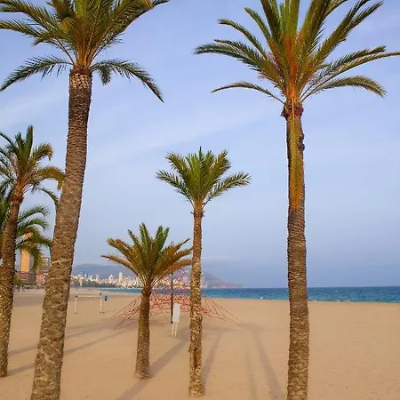 Ibis Budget Sin Comedor 3* Alicante